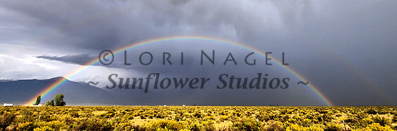 rainbow