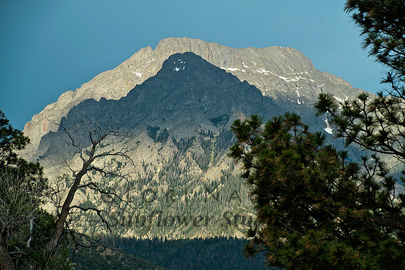 Kit Carson