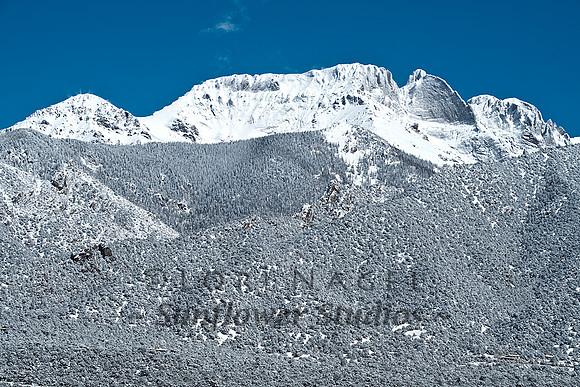 Fresh Snow