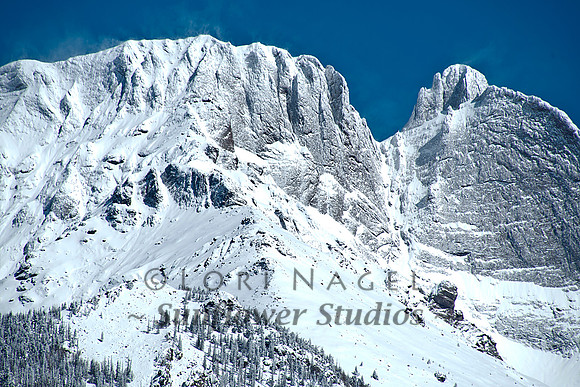 Fresh Snow