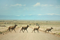 postcard-4inx6in-h-front
