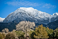 Fresh Snow on Mountain
