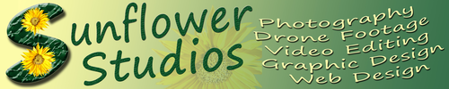 Sunflower Studios - Lori Nagel